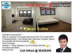Cavan Suites (D8), Apartment #182113882